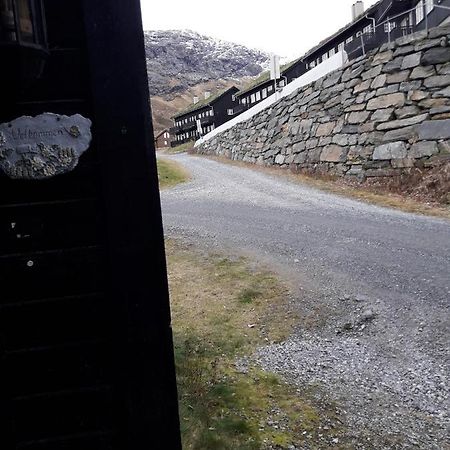 Apartement Røldal Alpingrend Buitenkant foto